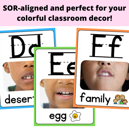 Alphabet Classroom Posters Science of Reading - Colorful Classroom Decor