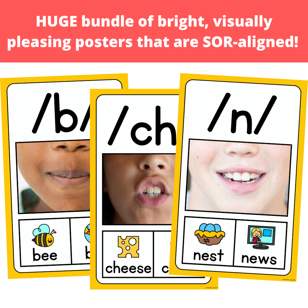 Science of Reading Sound Wall and Spelling Generalizations Poster Bundle