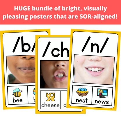 Science of Reading Sound Wall and Spelling Generalizations Poster Bundle